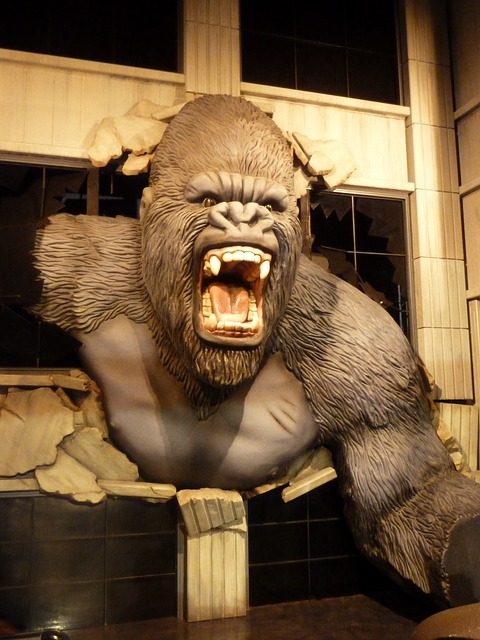 Rozwścieczony goryl szczerzący kły wychodzi przez okno budynku